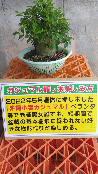 230910142049851 Hrm