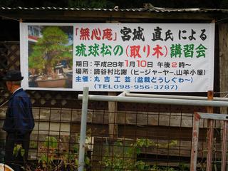 Dscn0033r