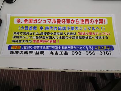 Dscn1226 R 9