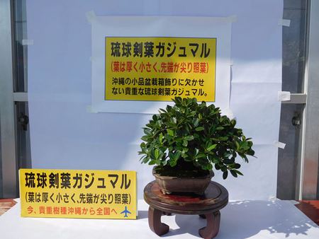 Dscn1779 R