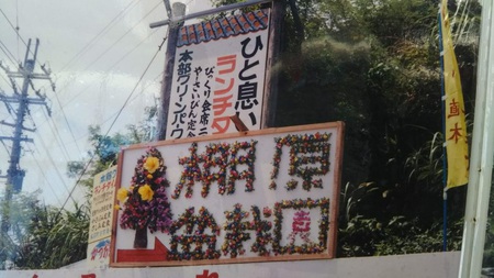 丸吉工芸の沖縄小葉ガジュマル