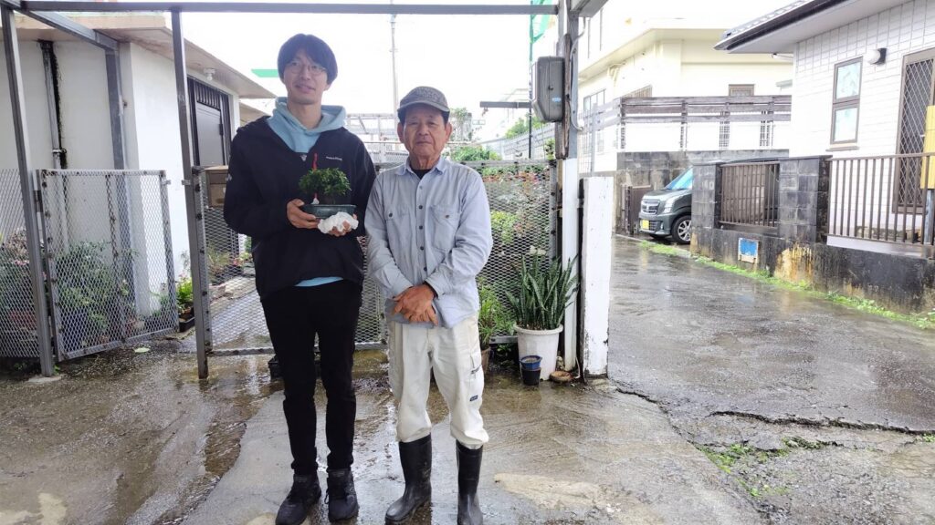 沖縄小葉ガジュマルを購入いただきました