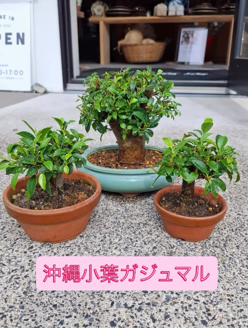 スクリーンショット 2026 08 04 153754
